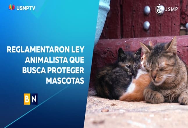 ¡LEY 4 PATAS YA ES UNA REALIDAD!